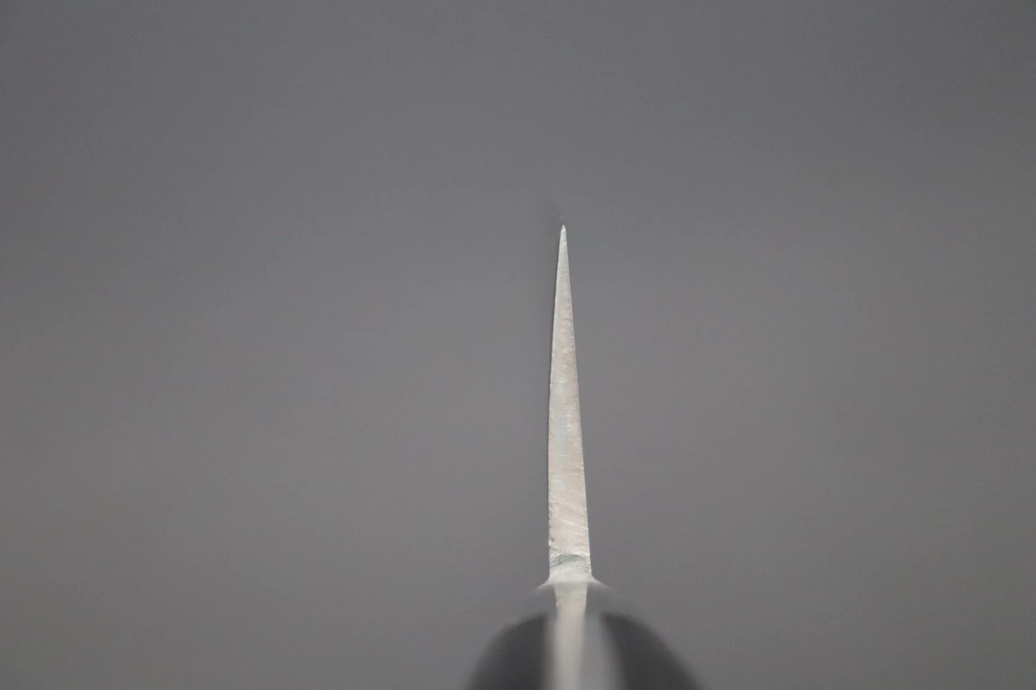 Fujiwara Kanefusa FKM Series Western Deba (210mm And 240mm, 2 Sizes) 4 Fujiwara Kanefusa FKM Series Western Deba (210mm And 240mm, 2 Sizes) - Image 4