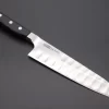 Glestain Gyuto (190mm And 210mm)