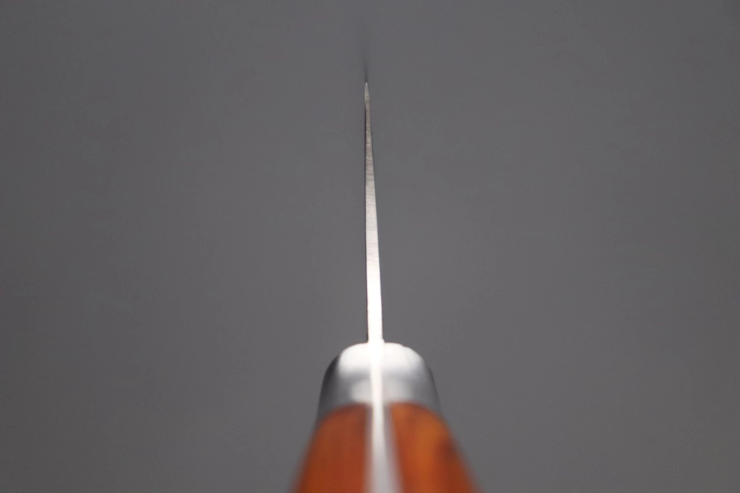 Hattori Forums FH Series Gyuto (210mm To 270mm, 3 Sizes, Cocobolo Wood Handle) 4 Hattori Forums FH Series Gyuto (210mm To 270mm, 3 Sizes, Cocobolo Wood Handle) - Image 4