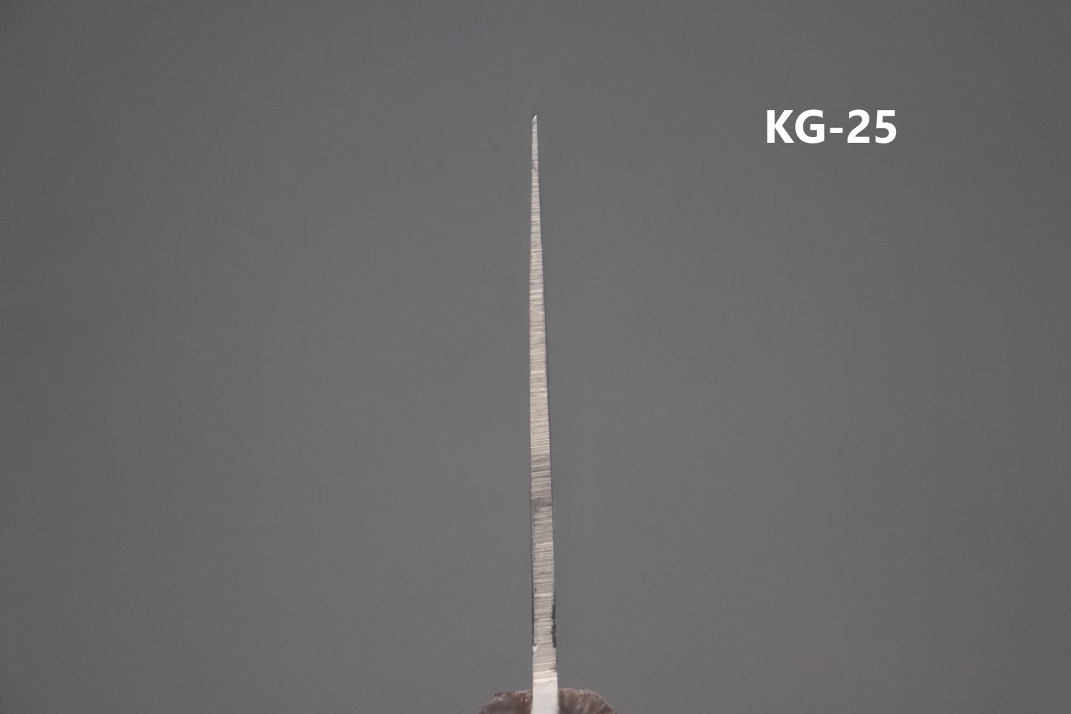 Kagayaki High Carbon Steel Chinese Cleaver 220mm (2 Different Blade Thickness) 4 Kagayaki High Carbon Steel Chinese Cleaver 220mm (2 Different Blade Thickness) - Image 4