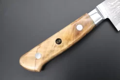 JCK Original Kagayaki NOVEL- Limited Edition Custom R-2 Damascus Series KNLTD-80 Kiritsuke-Gyuto 200mm (7.8 Inch, Forged Blade) -Knife Sale Shop kagayaki gyuto jck original kagayaki novel limited edition custom r 2 damascus series knltd 80 kiritsuke gyuto 200mm 7 8 inch forged blade 43488924107035 scaled