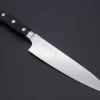 Kanetsugu Pro M Series Gyuto (180mm To 270mm, 4 Sizes)