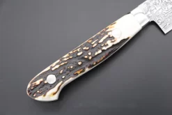 Mr. Itou R-2 Custom Damascus Petty 165mm (6.4 Inch,Stag Handle,IT-197) 14 Mr. Itou R-2 Custom Damascus Petty 165mm (6.4 Inch,Stag Handle,IT-197) -Knife Sale Shop mr itou petty mr itou r 2 custom damascus petty 165mm 6 4 inch stag handle it 197 43519146262811 scaled
