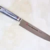 SHIKI VG-10 Handmade Petty 150mm (5.9inch, Grey Camel Bone Handle)