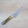 Takeshi Saji VG-10 Custom Damascus Wild Series Honesuki | Boning Knife 150mm (5.9 Inch, Stag Bone Handle)