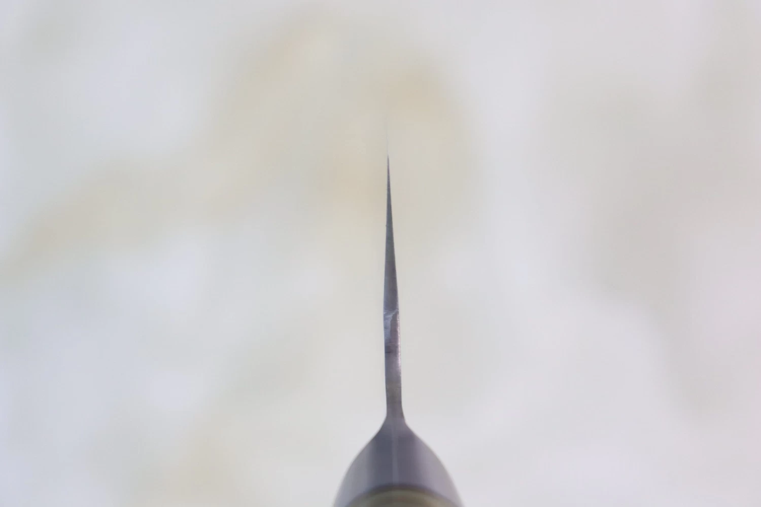 Takeshi Saji Nature Series — Hammer Forged R-2 SNR-6 Bunka 180mm (7 Inch, Quince Burl Wood Handle) 4 Takeshi Saji Nature Series — Hammer Forged R-2 SNR-6 Bunka 180mm (7 Inch, Quince Burl Wood Handle) - Image 4