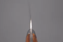 Master Saji Rainbow Damascus Series Gyuto (180mm To 270mm, 4 Sizes, Ironwood Handle) -Knife Sale Shop takeshi saji gyuto master saji rainbow damascus series gyuto 180mm to 270mm 4 sizes ironwood handle 42212103782683 scaled