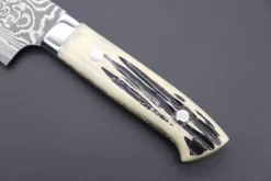 Takeshi Saji R-2 Custom Black Damascus Wild Series Gyuto (180mm To 270mm, 4 Sizes, Stag Bone Handle) -Knife Sale Shop takeshi saji gyuto takeshi saji r 2 custom black damascus wild series gyuto 180mm to 270mm 4 sizes stag bone handle 42516308820251 scaled