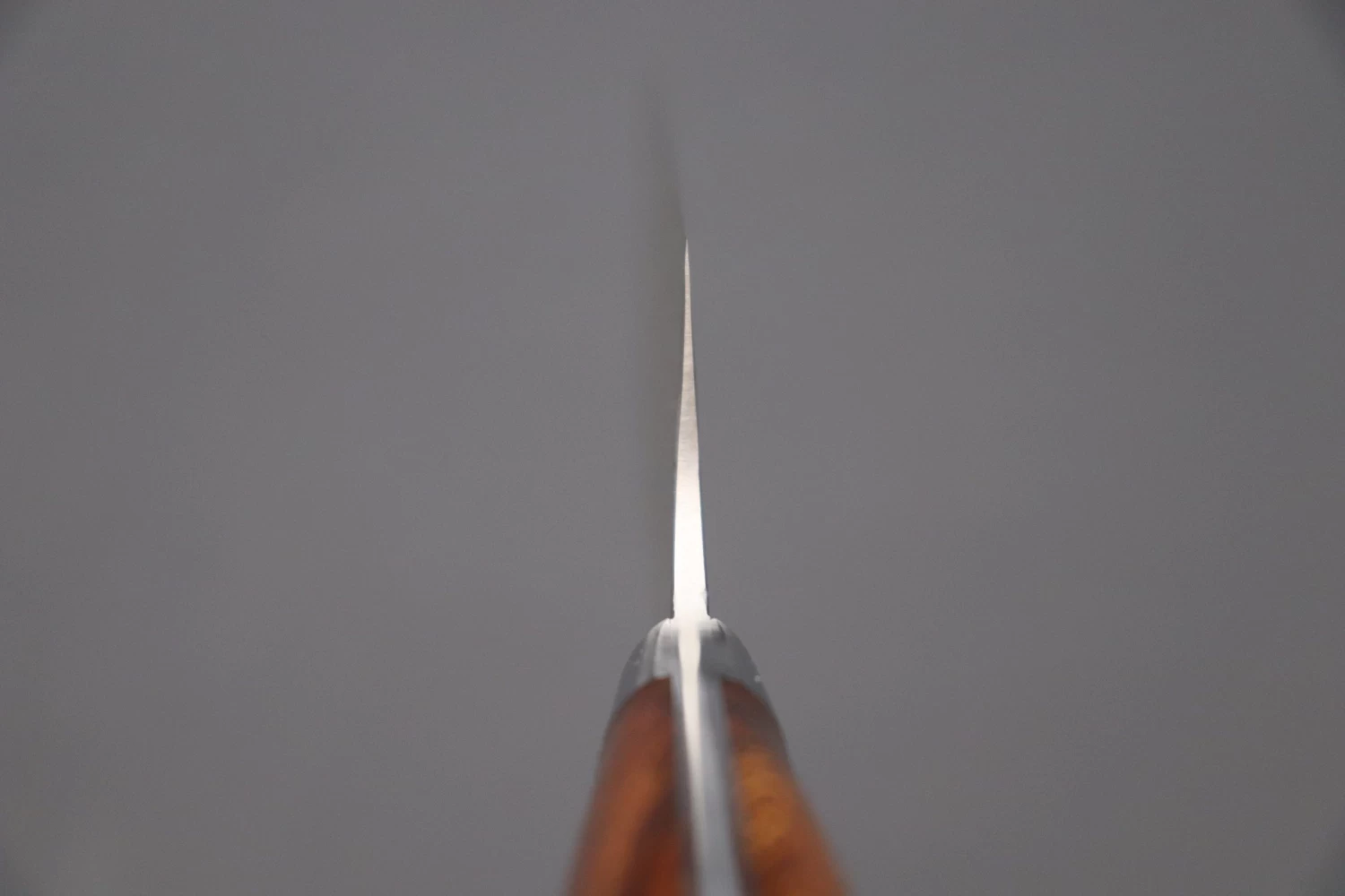 Takeshi Saji R-2 Custom Black Damascus Wild Series Nakiri 165mm (6.4 Inch, Ironwood Handle) 5 Takeshi Saji R-2 Custom Black Damascus Wild Series Nakiri 165mm (6.4 Inch, Ironwood Handle) - Image 5