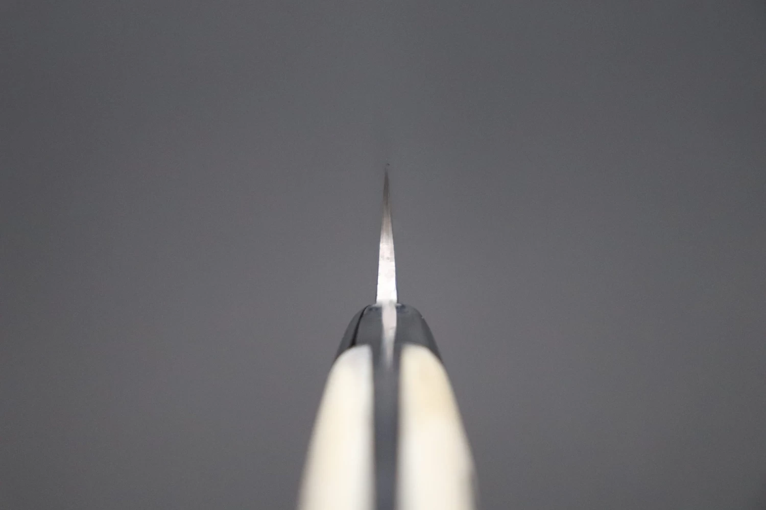 Takeshi Saji R-2 Custom Black Damascus Wild Series Paring 90mm (3.5 Inch, Stag Bone Handle) 4 Takeshi Saji R-2 Custom Black Damascus Wild Series Paring 90mm (3.5 Inch, Stag Bone Handle) - Image 4