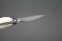 Takeshi Saji R-2 Custom Black Damascus Wild Series Paring 90mm (3.5 Inch, Stag Bone Handle) 13 Takeshi Saji R-2 Custom Black Damascus Wild Series Paring 90mm (3.5 Inch, Stag Bone Handle) -Knife Sale Shop takeshi saji paring takeshi saji r 2 custom black damascus wild series paring 90mm 3 5 inch stag bone handle 45300485947675 scaled