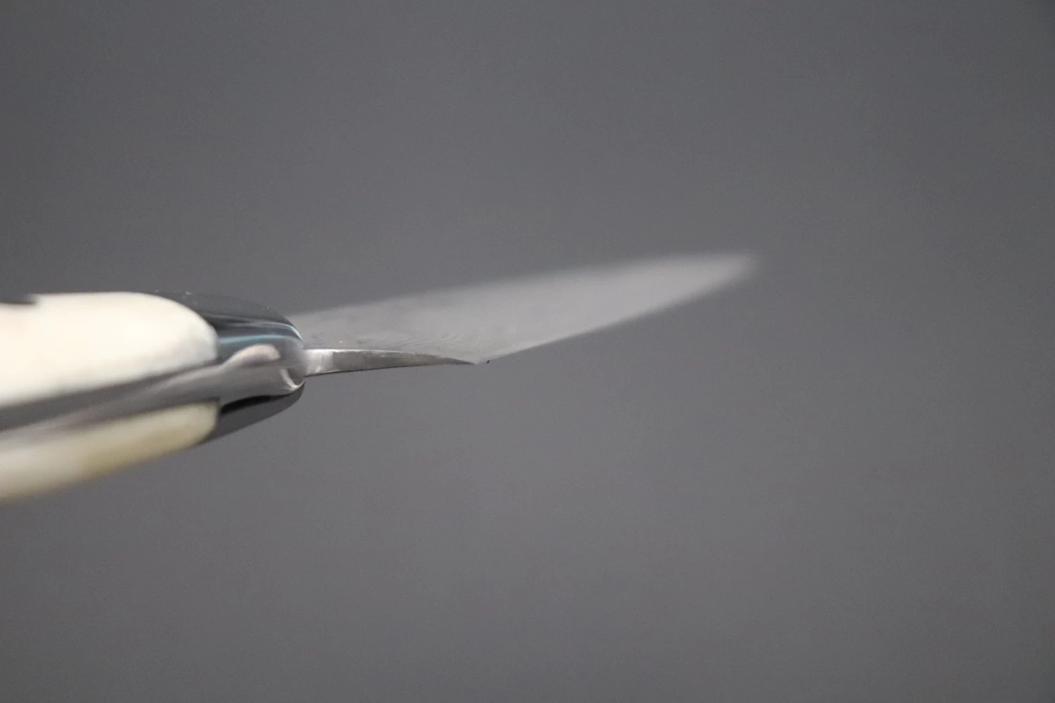 Takeshi Saji R-2 Custom Black Damascus Wild Series Paring 90mm (3.5 Inch, Stag Bone Handle) 5 Takeshi Saji R-2 Custom Black Damascus Wild Series Paring 90mm (3.5 Inch, Stag Bone Handle) - Image 5