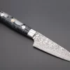 Takeshi Saji SUMMIT ― Limited Edition Custom Series SMT-765 R-2 Custom Damascus Paring 95mm (3.7 Inch)