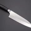 Takeshi Saji SRS-13 "ARC "Santoku 180mm (7 Inch, Black Pakka Wood Handle, ARC-2B)