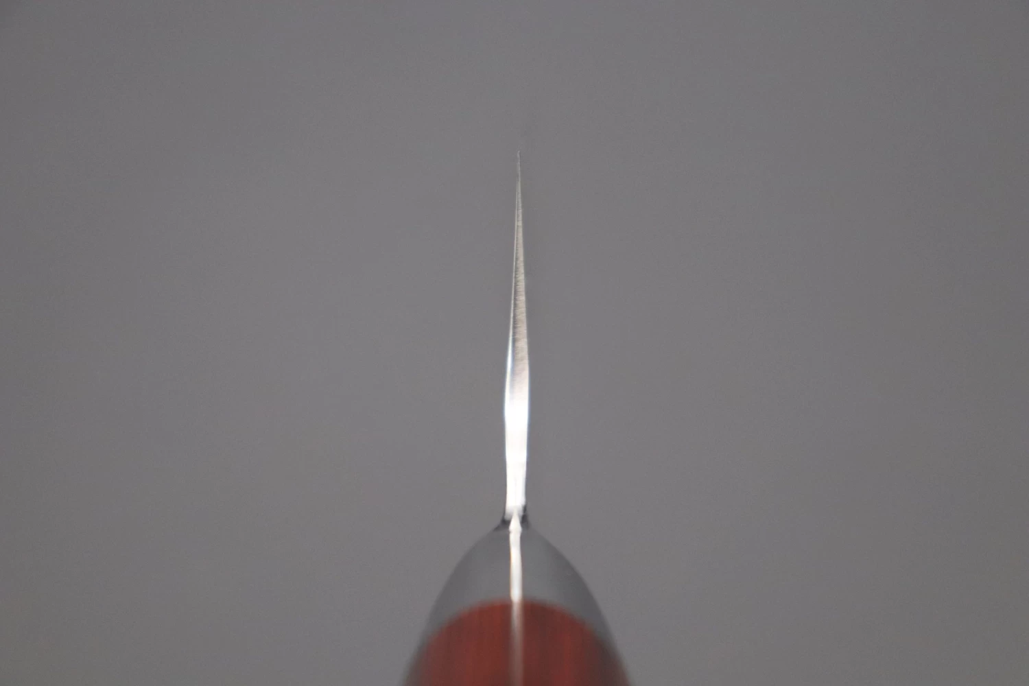 Takeshi Saji SRS-13 "ARC "Santoku 180mm (7 Inch, Red-Pakka Wood Handle, ARC-2) 4 Takeshi Saji SRS-13 "ARC "Santoku 180mm (7 Inch, Red-Pakka Wood Handle, ARC-2) - Image 4