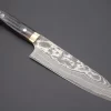 Takeshi Saji VG-10 Custom Damascus Wild Series Santoku 180mm (7 Inch, Stag Bone Handle)ST-2