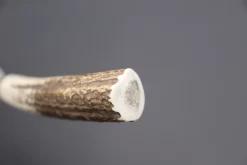 Takeshi Saji Gingami No.3 Wa Bocho Series Yanagiba (240mm And 300mm, 3 Sizes, Stag Handle) -Knife Sale Shop takeshi saji yanagiba takeshi saji gingami no 3 wa bocho series yanagiba 240mm and 300mm 3 sizes stag handle 42516512407835 scaled